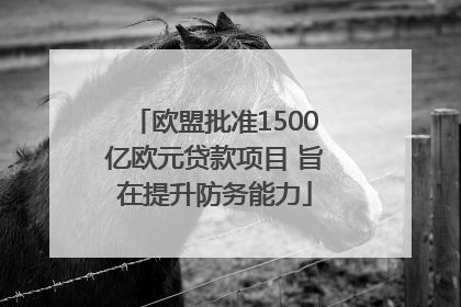 欧盟批准1500亿欧元贷款项目 旨在提升防务能力