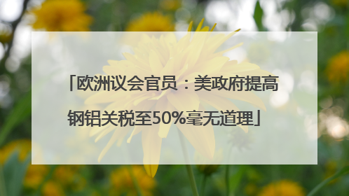欧洲议会官员：美政府提高钢铝关税至50%毫无道理