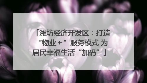 潍坊经济开发区：打造“物业＋”服务模式 为居民幸福生活“加码”