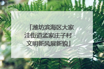 潍坊滨海区大家洼街道孟家庄子村文明新风展新貌