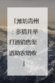 潍坊青州：多措并举打通销售渠道助农增收