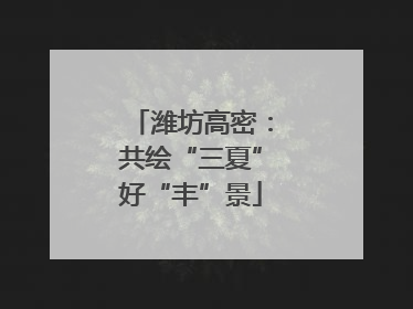 潍坊高密：共绘“三夏”好“丰”景