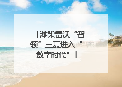 潍柴雷沃“智领”三夏进入“数字时代”