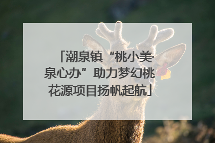 潮泉镇“桃小美·泉心办”助力梦幻桃花源项目扬帆起航