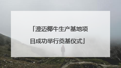 澄迈椰牛生产基地项目成功举行奠基仪式