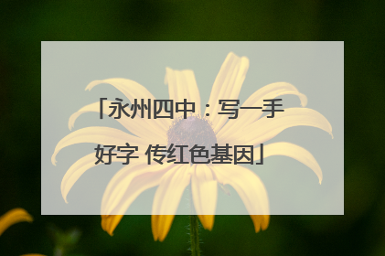 永州四中：写一手好字 传红色基因