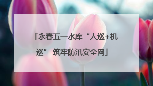 永春五一水库“人巡+机巡” 筑牢防汛安全网