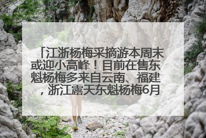 江浙杨梅采摘游本周末或迎小高峰！目前在售东魁杨梅多来自云南、福建，浙江露天东魁杨梅6月中旬大量上市