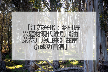江苏兴化：乡村振兴题材现代淮剧《油菜花开燕归来》在南京成功首演