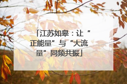 江苏如皋：让“正能量”与“大流量”同频共振