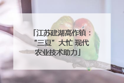 江苏建湖高作镇：“三夏”大忙 现代农业技术助力