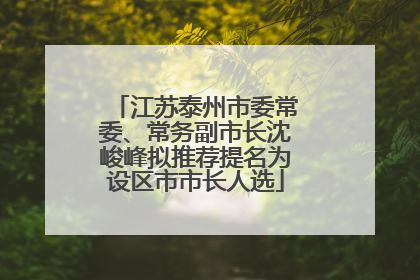 江苏泰州市委常委、常务副市长沈峻峰拟推荐提名为设区市市长人选