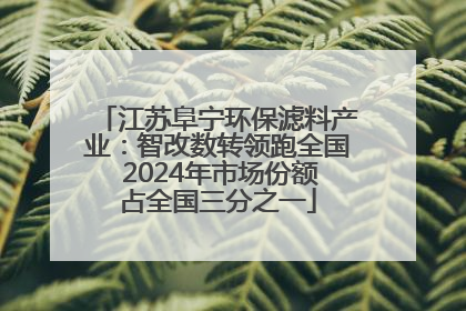 江苏阜宁环保滤料产业：智改数转领跑全国 2024年市场份额占全国三分之一