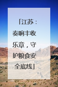 江苏：奏响丰收乐章，守护粮食安全底线