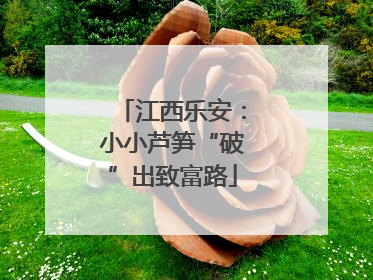 江西乐安：小小芦笋“破”出致富路