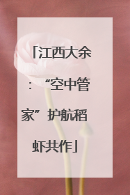 江西大余：“空中管家”护航稻虾共作