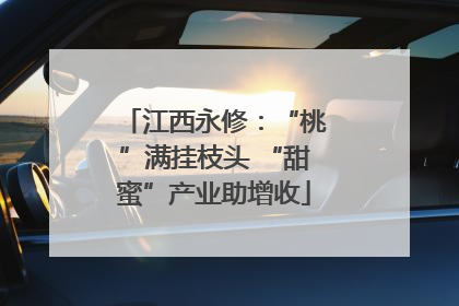江西永修：“桃”满挂枝头 “甜蜜”产业助增收
