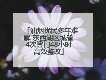 油烟扰民多年难解 东西湖区城管4次登门48小时高效整改
