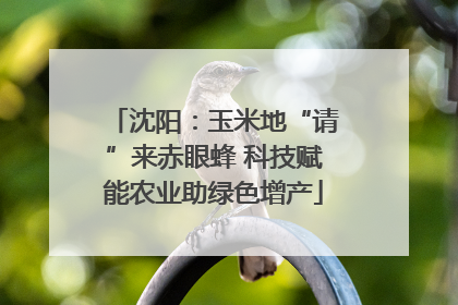 沈阳：玉米地“请”来赤眼蜂 科技赋能农业助绿色增产