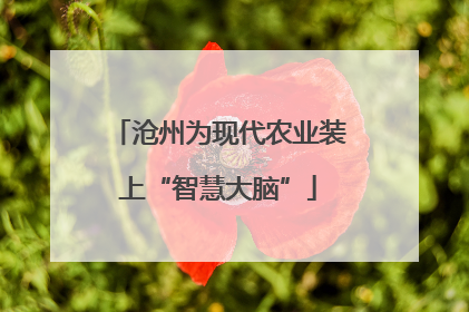 沧州为现代农业装上“智慧大脑”