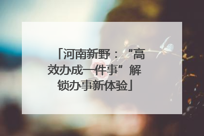 河南新野：“高效办成一件事”解锁办事新体验