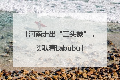 河南走出“三头象”，一头驮着Labubu