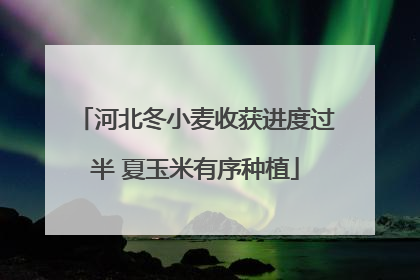 河北冬小麦收获进度过半 夏玉米有序种植