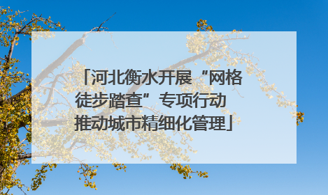 河北衡水开展“网格徒步踏查”专项行动 推动城市精细化管理