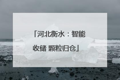 河北衡水：智能收储 颗粒归仓