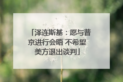 泽连斯基：愿与普京进行会晤 不希望美方退出谈判