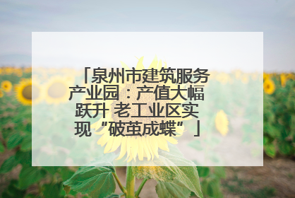 泉州市建筑服务产业园：产值大幅跃升 老工业区实现“破茧成蝶”