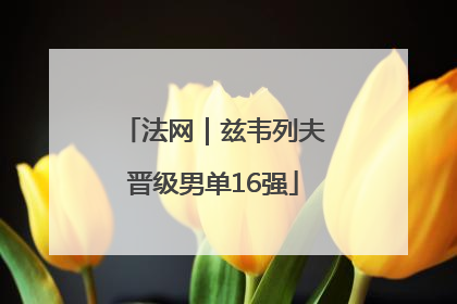 法网｜兹韦列夫晋级男单16强