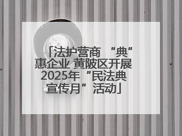 法护营商 “典”惠企业 黄陂区开展2025年“民法典宣传月”活动