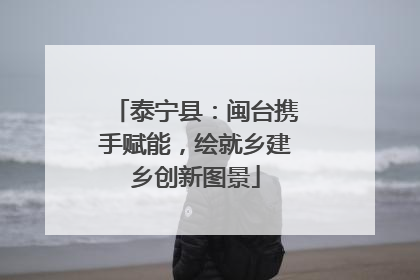 泰宁县：闽台携手赋能，绘就乡建乡创新图景