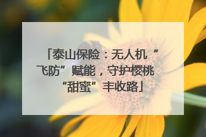 泰山保险：无人机“飞防”赋能，守护樱桃“甜蜜”丰收路