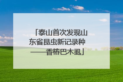 泰山首次发现山东省昆虫新记录种——香椿巴木虱