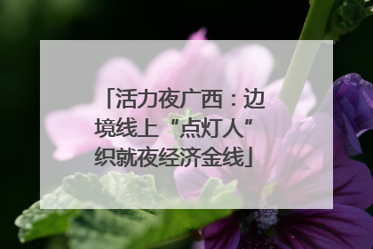 活力夜广西：边境线上“点灯人”织就夜经济金线