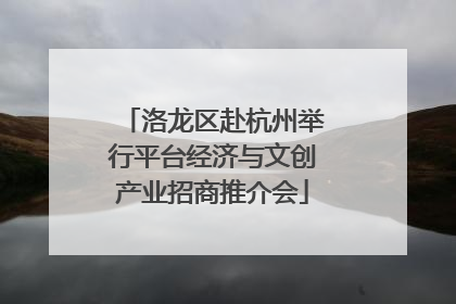 洛龙区赴杭州举行平台经济与文创产业招商推介会