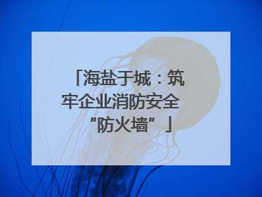 海盐于城：筑牢企业消防安全“防火墙”