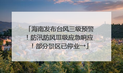 海南发布台风三级预警！防汛防风Ⅲ级应急响应！部分景区已停业→