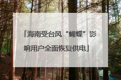 海南受台风“蝴蝶”影响用户全面恢复供电