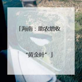 海南：助农增收 “黄金叶”