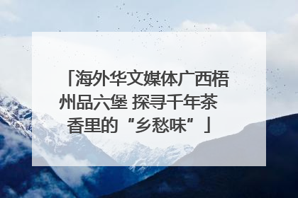 海外华文媒体广西梧州品六堡 探寻千年茶香里的“乡愁味”