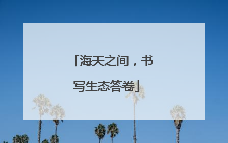 海天之间，书写生态答卷