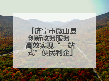 济宁市微山县创新政务服务 高效实现“一站式”便民利企