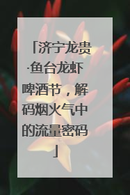 济宁龙贵·鱼台龙虾啤酒节，解码烟火气中的流量密码