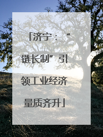济宁：“链长制”引领工业经济量质齐升