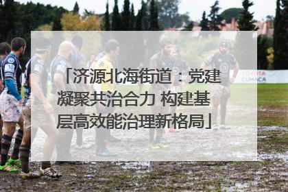 济源北海街道：党建凝聚共治合力 构建基层高效能治理新格局