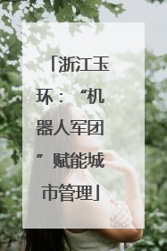 浙江玉环：“机器人军团”赋能城市管理