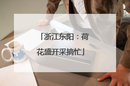 浙江东阳：荷花盛开采摘忙